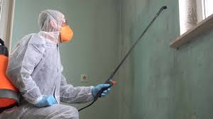 Why You Should Choose Our Mold Remediation Services in Desert Aire, WA