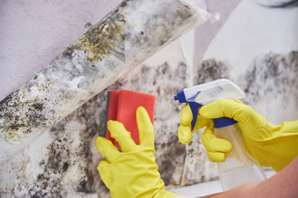 Best Industrial Mold Remediation  in Desert Aire, WA